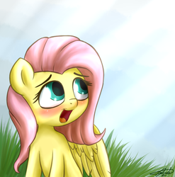 Size: 730x740 | Tagged: safe, artist:zortail, fluttershy, pegasus, pony, g4, female, grass, looking up, mare, open mouth, signature, solo