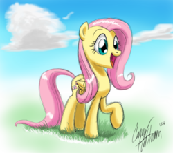 Size: 2695x2392 | Tagged: safe, artist:ceehoff, fluttershy, g4, cute, female, shyabetes, solo