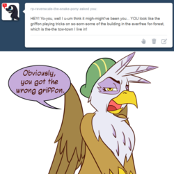 Size: 500x500 | Tagged: safe, artist:gilded-wings, gilda, griffon, g4, ask, female, hat, solo, tumblr