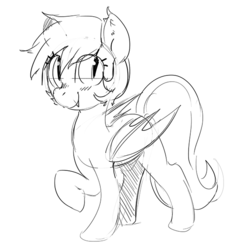 Size: 574x600 | Tagged: safe, artist:mewball, oc, oc only, bat pony, pony, monochrome, solo