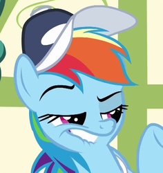 Size: 813x863 | Tagged: safe, screencap, rainbow dash, pony, flight to the finish, g4, coach rainbow dash, female, solo