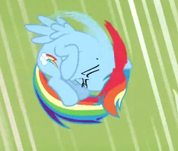 Size: 292x248 | Tagged: safe, screencap, rainbow dash, flight to the finish, g4, female, solo