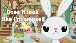 Size: 1024x576 | Tagged: safe, angel bunny, fluttershy, g4, caption, unamused