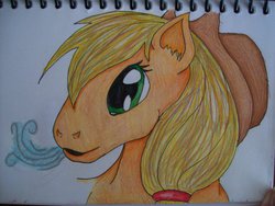 Size: 1024x768 | Tagged: safe, artist:onegiantdinosaur, applejack, g4, female, hoers, portrait, solo, traditional art