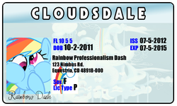 Size: 500x300 | Tagged: safe, rainbow dash, flight to the finish, g4, derp, female, id card, license, professionalism, puffy cheeks, solo