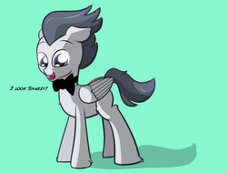 Size: 1247x946 | Tagged: safe, artist:cosmonaut, rumble, lets ask rumble, g4, bowtie, cute, dapper, fluffy, male, solo, tumblr