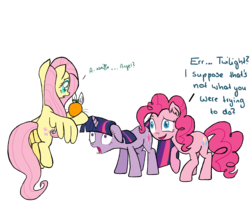 Size: 3220x2780 | Tagged: safe, artist:kaleysia, angel bunny, fluttershy, pinkie pie, twilight sparkle, g4, orange