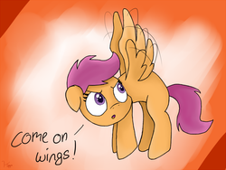 Size: 3444x2584 | Tagged: safe, artist:kaleysia, scootaloo, g4, attempt, female, flying, solo