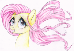 Size: 4383x3000 | Tagged: dead source, safe, artist:vird-gi, fluttershy, pony, g4, bust, female, grin, gritted teeth, high res, looking at you, mare, portrait, simple background, smiling, solo, stray strand, three quarter view, traditional art, white background, windswept mane