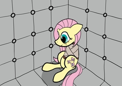 Size: 4960x3508 | Tagged: dead source, safe, artist:featherscratch, fluttershy, g4, asylum, bondage, female, padded cell, solo, straitjacket
