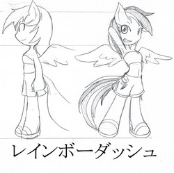 Size: 598x596 | Tagged: safe, artist:rougebat, rainbow dash, anthro, g4, belly button, female, japanese, monochrome, pixiv, solo