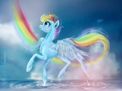Size: 900x674 | Tagged: safe, artist:cylonka, rainbow dash, alicorn, pony, g4, alicornified, cloud, cloudy, female, princess, race swap, rainbow, rainbowcorn, solo, water