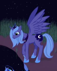 Size: 1228x1512 | Tagged: safe, artist:capriphon, nightmare moon, princess luna, g4, female, night, reflection, s1 luna, solo