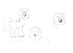 Size: 6968x5096 | Tagged: safe, artist:rofljay, caramel, doctor whooves, time turner, g4, absurd resolution, monochrome