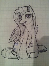 Size: 453x604 | Tagged: safe, artist:spiggy-the-cat, fluttershy, g4, female, graph paper, sketch, solo, traditional art