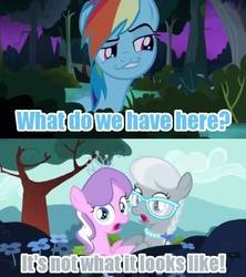 Size: 500x563 | Tagged: safe, edit, edited screencap, screencap, diamond tiara, rainbow dash, silver spoon, daring don't, flight to the finish, g4, buh, caption, colored text, creepy, everfree forest, faic, female, flower, glasses, image macro, implied kissing, implied shipping, jewelry, lesbian, necklace, obsession, out of context, pearl necklace, ship:silvertiara, shipper on deck, shipping, smug, smugdash, text, tiara, tree