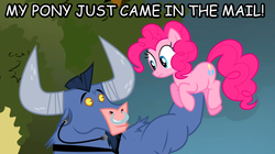 Size: 778x437 | Tagged: safe, edit, edited screencap, screencap, iron will, pinkie pie, g4, putting your hoof down, image macro