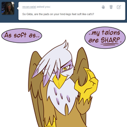 Size: 500x500 | Tagged: safe, artist:gilded-wings, gilda, griffon, g4, ask, female, solo, talons, tumblr