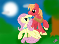 Size: 900x675 | Tagged: safe, artist:saphira930, big macintosh, fluttershy, earth pony, pony, g4, ear bite, floppy ears, male, ship:fluttermac, shipping, stallion, straight