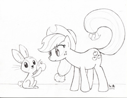 Size: 1000x770 | Tagged: safe, artist:thekitfox, applejack, earth pony, pony, rabbit, g4, apple, female, mare, monochrome