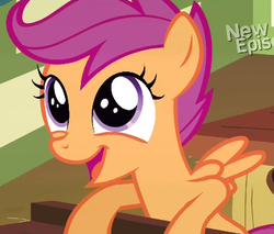 Size: 406x346 | Tagged: safe, screencap, scootaloo, pegasus, pony, flight to the finish, g4, cropped, cute, cutealoo, female, filly, open mouth, solo, spread wings, wings