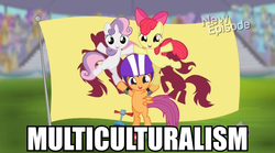 Size: 956x530 | Tagged: safe, edit, edited screencap, screencap, apple bloom, scootaloo, sweetie belle, earth pony, pegasus, pony, unicorn, flight to the finish, g4, cutie mark crusaders, female, filly, flag, helmet, image macro, multiculturalism, pony pyramid, ponyville flag, trio