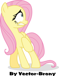 Size: 2675x3462 | Tagged: safe, artist:vector-brony, fluttershy, g4, female, scared, simple background, solo, transparent background, vector