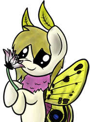 Size: 1875x2524 | Tagged: safe, artist:niksiekins, oc, oc only, mothpony, original species, flower, solo