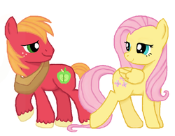 Size: 700x545 | Tagged: safe, artist:thecat101, big macintosh, fluttershy, earth pony, pony, g4, male, ship:fluttermac, shipping, stallion, straight