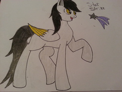 Size: 3264x2448 | Tagged: safe, oc, oc only, bat pony, pony, solo