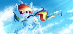 Size: 851x400 | Tagged: safe, artist:agletka, rainbow dash, g4, female, solo