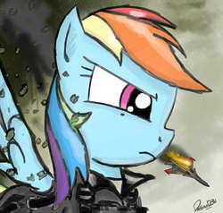 Size: 2000x1900 | Tagged: dead source, safe, artist:pak-faace1234, rainbow dash, g4, ace combat, female, fire, smoke, solo, su-35