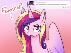 Size: 1280x960 | Tagged: safe, artist:sugarberry, princess cadance, g4, ask-cadance, female, messy mane, solo, tumblr