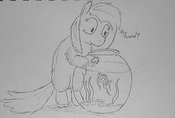 Size: 891x602 | Tagged: safe, artist:fluffsplosion, fluffy pony, fish bowl, impending doom, solo