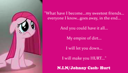 Size: 368x211 | Tagged: safe, pinkie pie, g4, female, forum signature, hurt (song), johnny cash, let down, lyrics, nine inch nails, pinkamena diane pie, sadness, solo, song