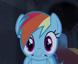 Size: 1280x1062 | Tagged: safe, screencap, rainbow dash, castle mane-ia, g4, cropped, looking at you