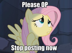 Size: 960x704 | Tagged: safe, screencap, fluttershy, castle mane-ia, g4, season 4, female, image macro, it's time to stop posting, op, reaction image, roflbot, solo