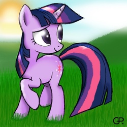 Size: 894x894 | Tagged: safe, artist:globalpredatorx, twilight sparkle, g4, female, solo