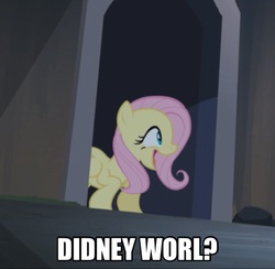 Size: 1494x1458 | Tagged: safe, fluttershy, castle mane-ia, g4, didney worl, female, image macro, meme, solo