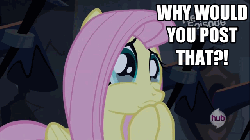 Size: 640x360 | Tagged: safe, edit, edited screencap, screencap, fluttershy, castle mane-ia, g4, animated, crying, female, hub logo, hubble, reaction image, solo, the hub, why would you post that