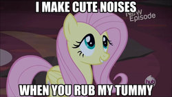 Size: 1280x720 | Tagged: safe, fluttershy, castle mane-ia, g4, bellyrubs, bronybait, cute, female, image macro, shyabetes, solo, text