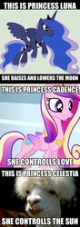 Size: 1494x4259 | Tagged: safe, princess cadance, princess celestia, princess luna, llama, g4, meme