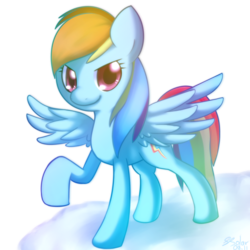 Size: 1000x1000 | Tagged: safe, artist:solar-slash, rainbow dash, g4, female, solo