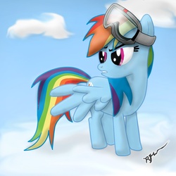 Size: 1200x1200 | Tagged: safe, artist:scratch42, rainbow dash, g4, cloud, cloudy, female, goggles, solo