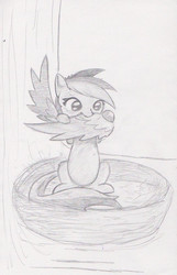 Size: 933x1448 | Tagged: safe, artist:myieek, rainbow dash, g4, female, filly, filly rainbow dash, monochrome, preening, solo, traditional art