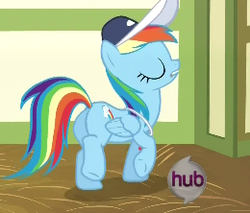 Size: 260x222 | Tagged: safe, screencap, rainbow dash, pony, flight to the finish, g4, my little pony: friendship is magic, coach rainbow dash, female, solo