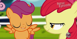 Size: 1329x677 | Tagged: safe, screencap, apple bloom, scootaloo, sweetie belle, flight to the finish, g4, cutie mark crusaders, hub logo, lidded eyes, out of context