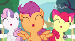 Size: 602x332 | Tagged: safe, screencap, apple bloom, scootaloo, sweetie belle, flight to the finish, g4, cutie mark crusaders, hub logo