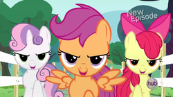 Size: 624x350 | Tagged: safe, screencap, apple bloom, scootaloo, sweetie belle, flight to the finish, g4, cutie mark crusaders, hub logo, looking at you