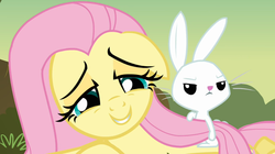 Size: 1054x591 | Tagged: safe, screencap, angel bunny, fluttershy, g4, hurricane fluttershy, my little pony: friendship is magic